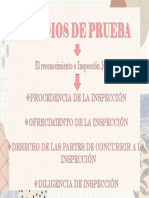 Medios de Prueba