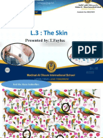 L3 The Skin