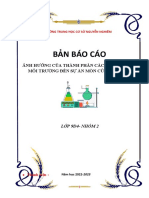 B N Báo Cáo