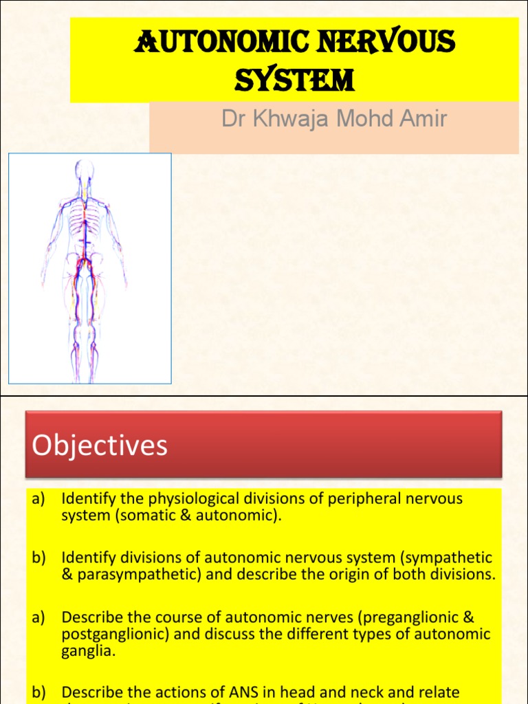 AUTONOMIC NERVOUS SYSTEM PDF NOTES visual data 2