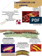 LIPIDOS