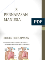 3 proses pernapasan