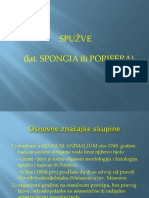 2 Spongia