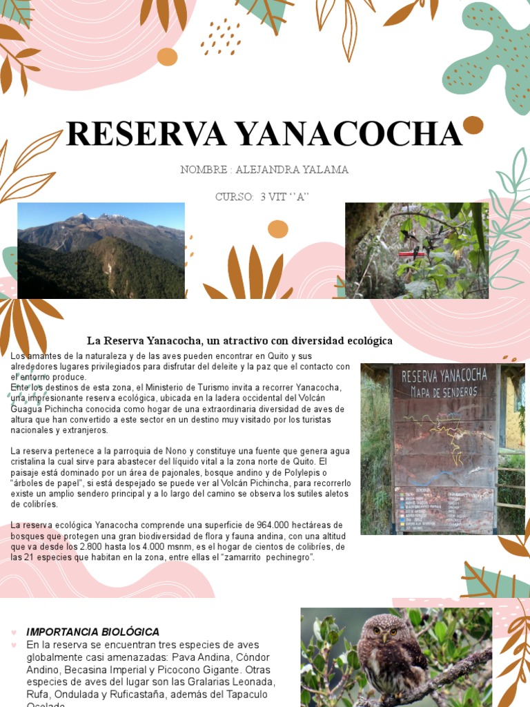 La Reserva Yanacocha PDF Andes Organismos