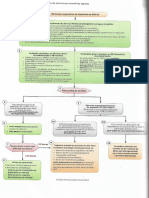 pdf mapa mental doutor 1