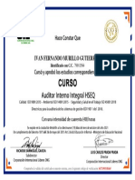 617339333fabf-Auditor Interno Integral HSEQ