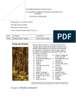 Cópia de Biodiversidade 1º 12-04