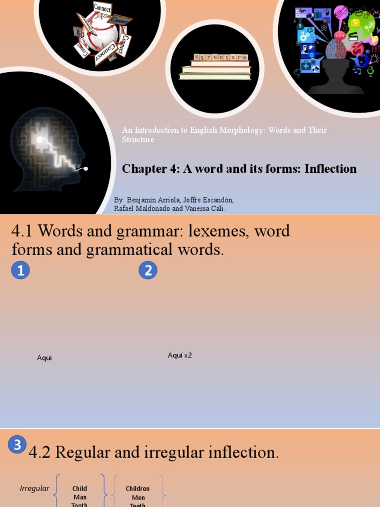 An Introduction To English Morphology English Presentation | PDF ...