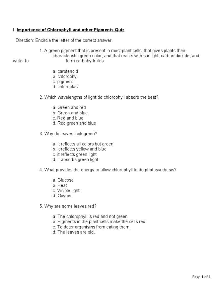 Photosynthesis Quiz | PDF