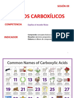 Ácidos Carboxílicos