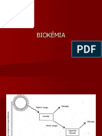 Biokémia 1