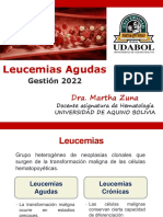 Leucemias Agudas: Gestión 2022