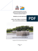 Dissertacao PescaCurralMunicipio