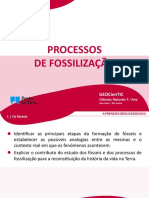 Processos de Fossilização