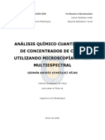 Tesis Analisis Quimico Cuantitativo de Concentrados
