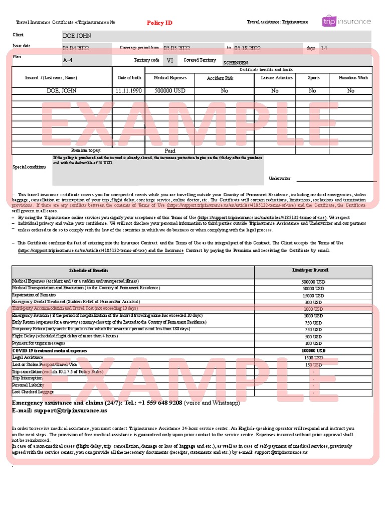 Policy Example en | PDF | Insurance | Deductible
