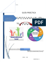 pdf-guia-practica-01