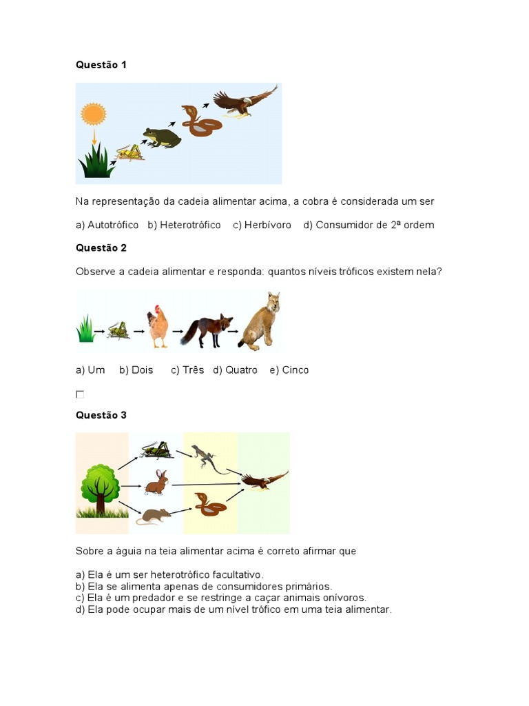 Questões sobre Cadeia Alimentar e Níveis Tróficos | PDF | Food Web ...