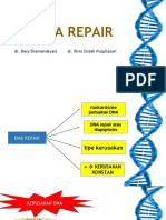 Dna Repair