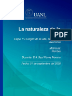 Actividad de La Naturaleza de La Vida