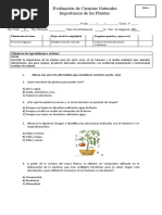 Evaluación Importancia de Las Plantas