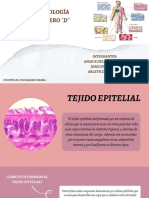 HISTOLOGIA Tejido Epitelial