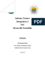 Informe Técnico Integradora I