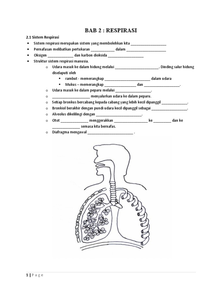 BAB 2 Respirasi | PDF