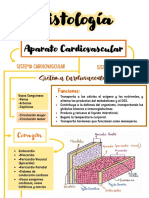 Resumen Aparato Card.