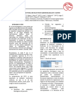 INFORME ELECTROCARDIOGRAMA