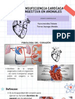 Insuficiencia Cardiaca Congestiva en Animales