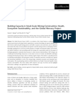 Building Capacity in Small-Scale Mining Communities: Health, Ecosystem Sustainability, and The Global Mercury Project