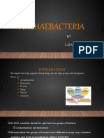 Archaebacteria: Facts About This Unique Domain of Life