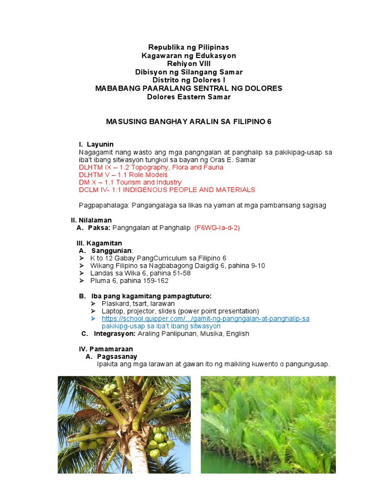 GR 6-q1 Cot-Marilyn Conopio DLCR (Localized Lesson Plan) | PDF