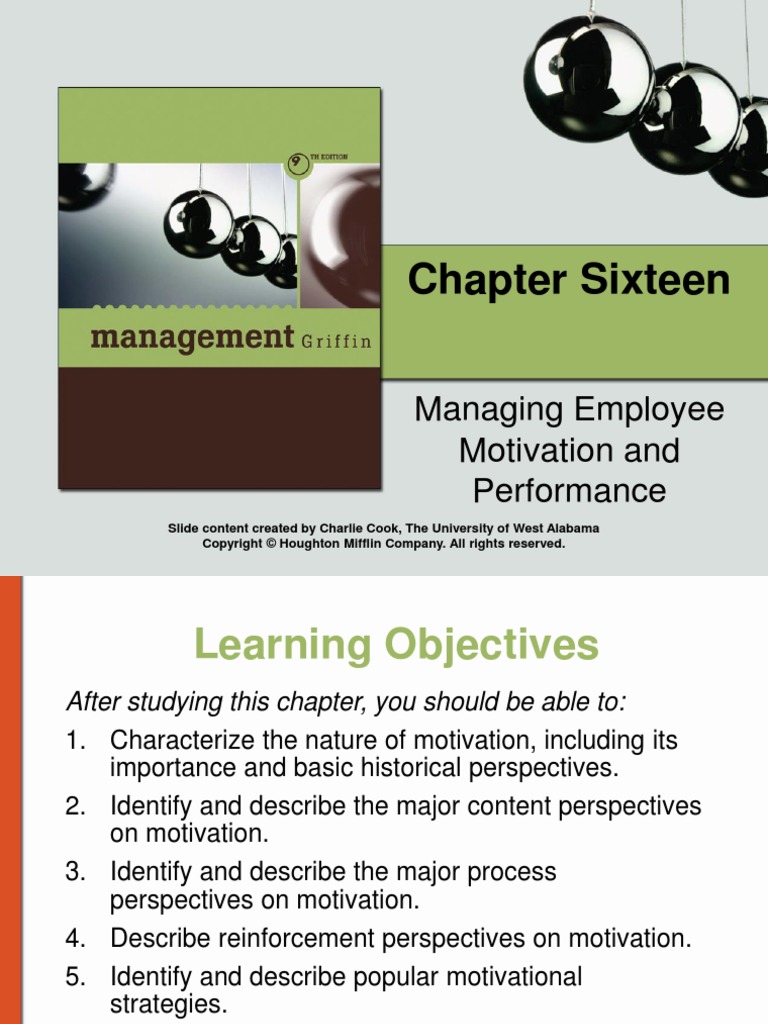 Managing Employee Motivation and Performance | PDF