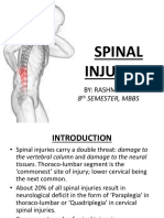 Spinalinjuries 180518121456