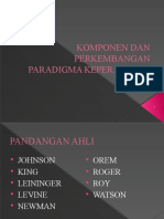 Komponen Dan Perkembangan Paradigma Keperawatan