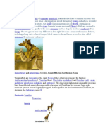 Giraffidae 1