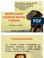 Tumores Bucales y Nasales Patologia