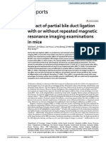 Impact of Partial Bile Duct Ligation With or Without Repeated Magnetic Resonance Imaging Examinations in Mice