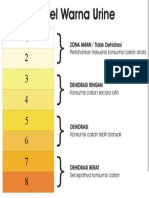 Warna Urin