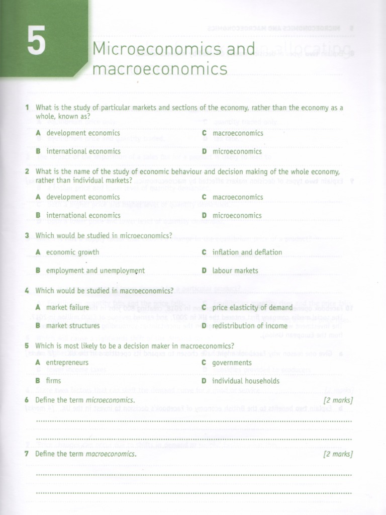Chapter 5 Worksheet | PDF