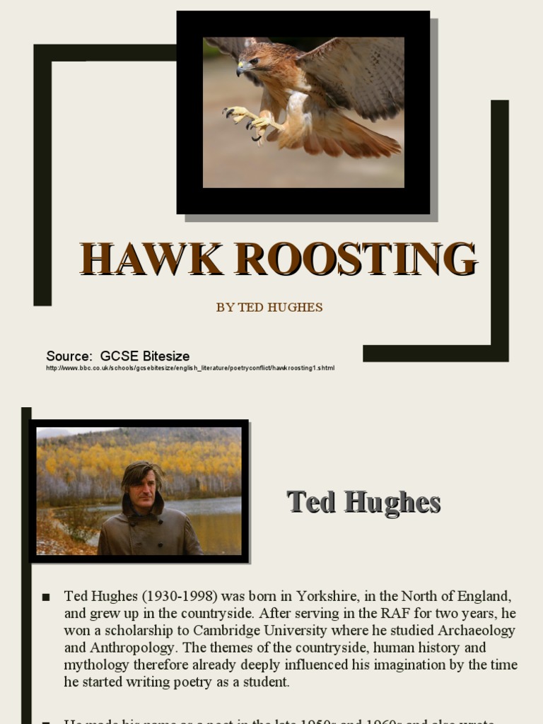 Hawk Roosting | PDF | Poetry