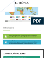 Clase 2. Suelos Del Trópico