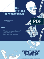 The Skeletal System