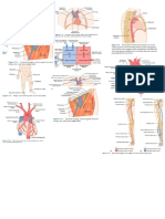 12 - CARDIAC SYSTEM