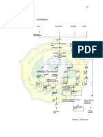 Pathways 111