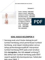 Kelompok 4 PPN25