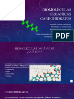 Biomoléculas Organicas Carbohidratos