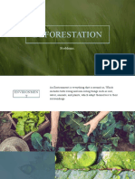 Deforestation's Impact on Environment